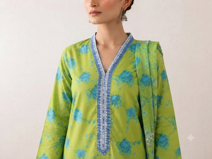 BIN SAEED | STITCHED 3-PIECE | PRINTED LAWN SUIT